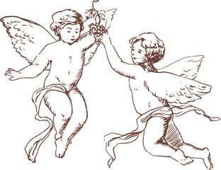 Pair of flying Cupids or angels illustration