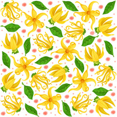 Illustration of ylang-ylang yellow flowers tropical sweet fragrance of trees summer climate blooming flowers pattern for textiles background