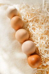 Group fresh brown chicken eggs in a line in the straw. Eggs are placed on sawdust.