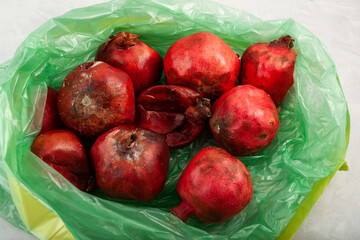 Spoiled pomegranate fruits in plastic garbage bag. Ugly rotten moldy fruit. Concept - Improper food storage, reduction of organic waste