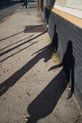 Obraz premium WE WALK