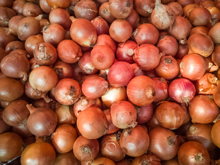 onions for sale in the market