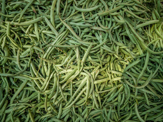 zucchini or squash to prepare food for sale in the market