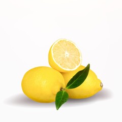 Lemon fruits with branch and leaves on background.