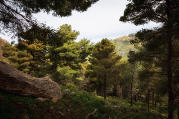 Fototapeta na wymiar Sicilian Italian Coastal Hill Spring Landscape in Europe on a lovely day