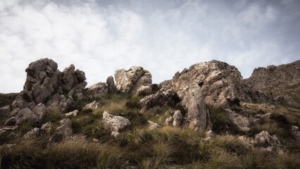 Hiking in the Spring Coastal Forest Hills of Sicily in Italy, Europe