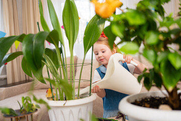 a little pretty girl watering from a watering can the houseplant with water.