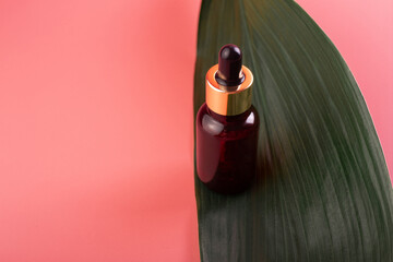 Obraz premium glass brown bottle with pipette with essential oil on a pink background with green tropical leaves top view. Aromatic cosmetic product for skin and hair care Moisturizing beauty product with organic