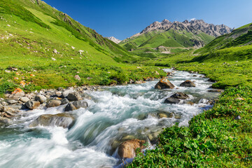 The river in summer alpine steppe in Duku road in Xinjiang Uygur Autonomous Region, China.