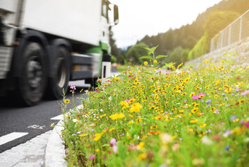 Prachtvolle Blumenwiese am Straßenrand mit vorbeifahrendem Transportfahrzeug - obrazy, fototapety, plakaty