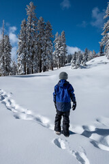 Fototapeta na wymiar Boy hiking through deep snow in Sierras after a snowstorm with clear blue skys and snow on trees