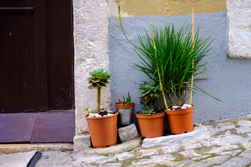 pot on the wall