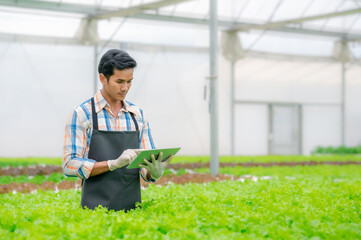 Happy Asian man farmer using digital tablet to control hydroponic greenhouse vegetables salad farm system