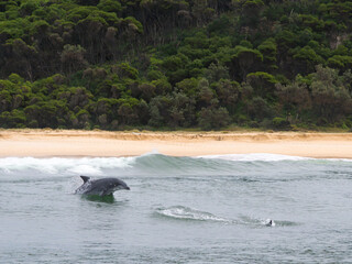 Fototapeta premium Just Past The Surf