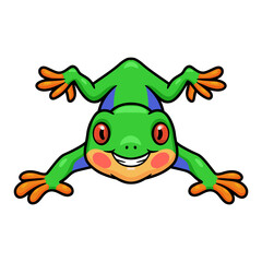 Cute little frog cartoon character