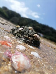 stones on the beach