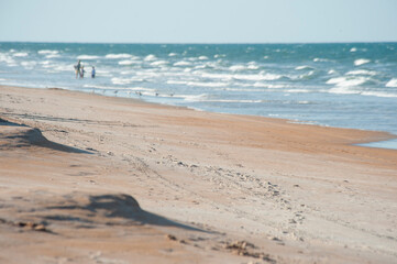 Fototapeta na wymiar Beach with dunes at Ormond Beach, FL