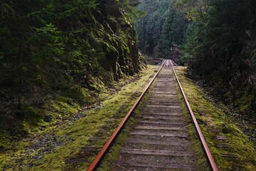 Old railway bridge. Vancouver Island. Galloping Goose trail. British Columbia. Canada