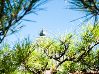Green pine branches against the roof of Japanese temple
