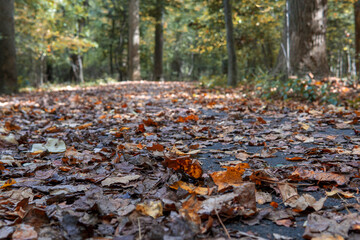 fall in Virginia