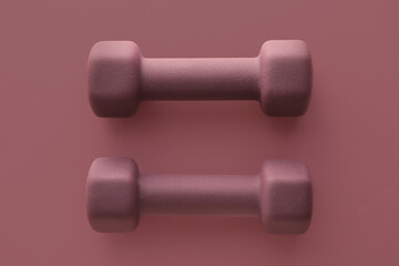 Pair of dumbbells on color background, top view