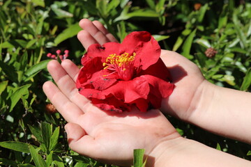 girl holding red flower