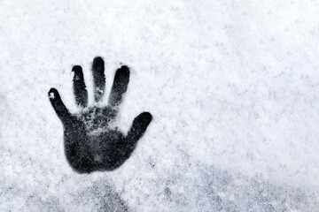 Hand Print in Snow
