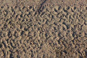 sand background