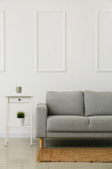 Interior of modern light living room with stylish sofa