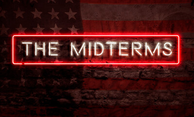 The Midterms American Political Conceptual Art