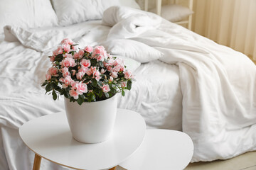 Beautiful begonia flowers on table near bed - obrazy, fototapety, plakaty