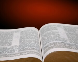 Christian Open Bible. The Bible. Reading The Word Of God. Study of religious literature.