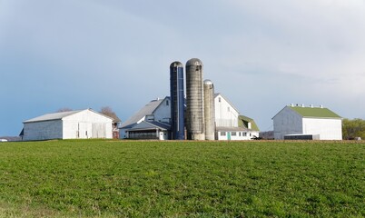 An Amish farm with corn silos near Strasburg, Pennsylvania, U.S