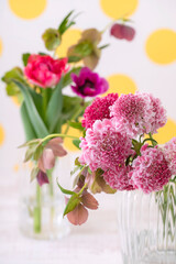 スカビオサ　春の花   水玉