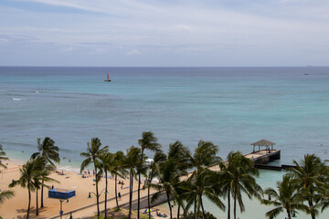 Views Over Honolulu