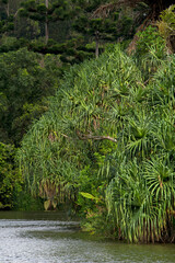 Ho'omaluhia Botanical Grdens on Oahu Island, Hawaii