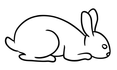 Hand-drawn rabbit