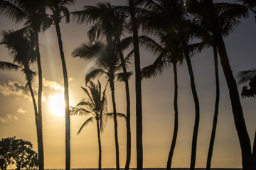 Obraz na płótnie Canvas Mahai'ula Beach, Hawaii