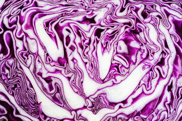 Fototapeta premium macro of purple cabbage cut in half