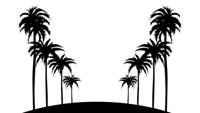 Silhouettes of palm trees. Vector design template. Isolated white background