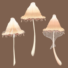 Imaginary mushrooms, elegant beige extraterrestrial mushrooms art, social media design elements, fairy wedding decoration elements