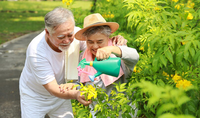 Asian senior couple incasual embracing and spending time in garden backyard while watering flowers plants with laughing and smiling on sunny day after retired. Happy elderly outdoor lifestyle concept.