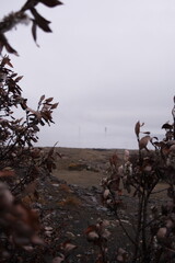 Autumn dirty leaves. Old abandoned huge coal pit. Nature pollution. Ruins and stones. Ruins and huge mountains of dirty rock.