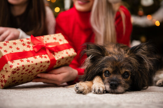 A mother and daughter give each other gifts during Christmas.