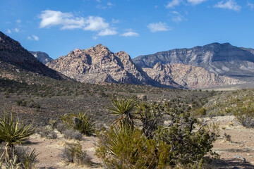 Red Rock Views