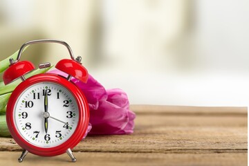 Savings time concept. Alarm clocks with tulip flowers.
