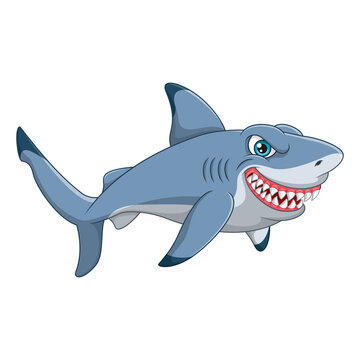 Cartoon shark isolated on white background