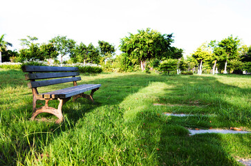 Single garden chair on green grass