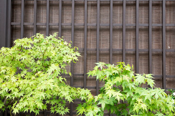 高山上三之町の花壇