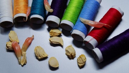 Grapefruit seeds and sewing thread combination